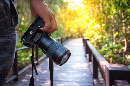 Lentes para Fotografias de Verão