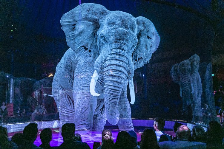 Circus Roncalli on Flickr Click and Play - Agência de Vídeo Digital - Produtora Audiovisual